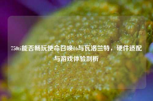 750ti能否畅玩使命召唤16与瓦洛兰特，硬件适配与游戏体验剖析