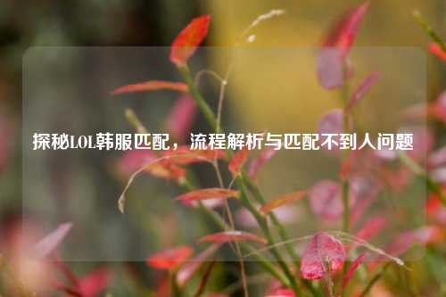探秘LOL韩服匹配，流程解析与匹配不到人问题