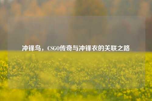 冲锋鸟，CSGO传奇与冲锋衣的关联之路