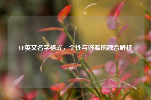 CF英文名字格式，个性与好看的融合解析