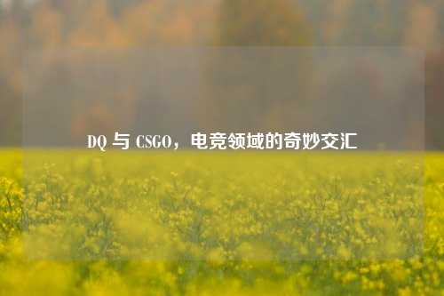 DQ 与 CSGO，电竞领域的奇妙交汇
