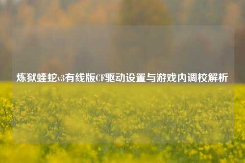 炼狱蝰蛇v3有线版CF驱动设置与游戏内调校解析