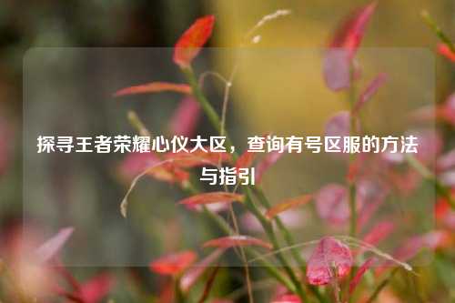 探寻王者荣耀心仪大区,查询有号区服的方法与指引