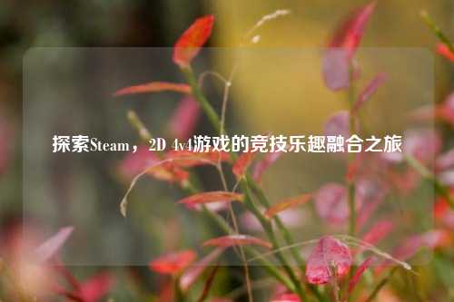 探索Steam,2D 4v4游戏的竞技乐趣融合之旅