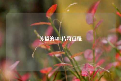 苏哲的LOL传奇征程