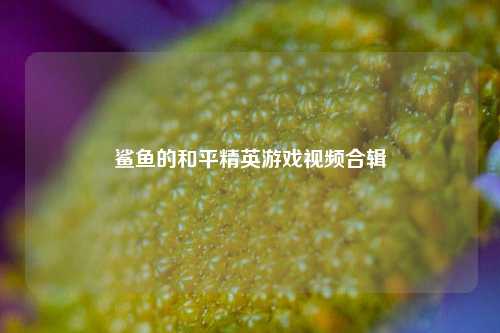 鲨鱼的和平精英游戏视频合辑