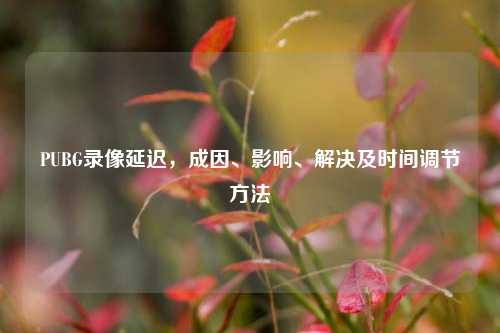 PUBG录像延迟,成因、影响、解决及时间调节方法