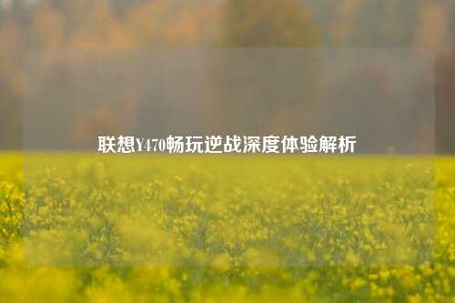 联想Y470畅玩逆战深度体验解析