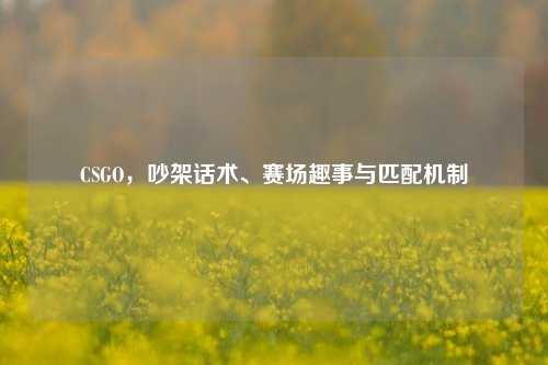 CSGO,吵架话术、赛场趣事与匹配机制