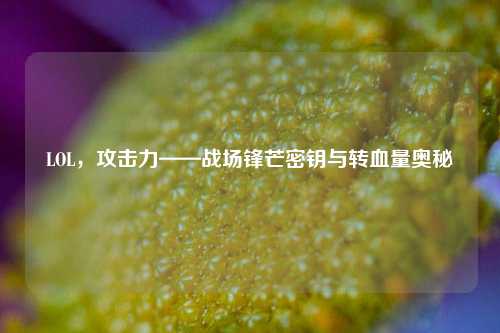 LOL,攻击力——战场锋芒密钥与转血量奥秘