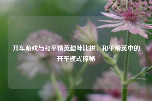 开车游戏与和平精英趣味比拼，和平精英中的开车模式探秘