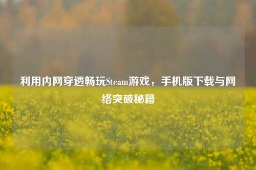 利用内网穿透畅玩Steam游戏，手机版下载与网络突破秘籍