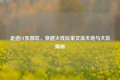 走进CF东部区,穿越火线玩家交流天地与大区揭秘