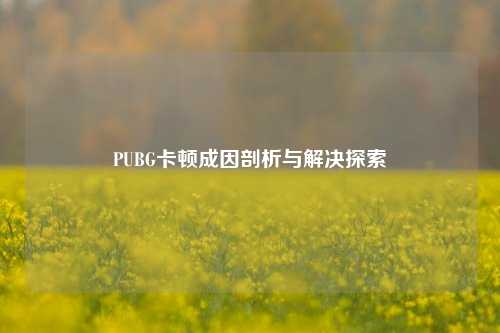 PUBG卡顿成因剖析与解决探索