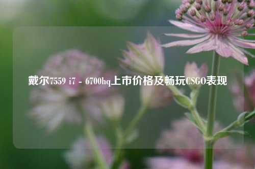 戴尔7559 i7 - 6700hq上市价格及畅玩CSGO表现