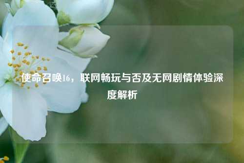 使命召唤16，联网畅玩与否及无网剧情体验深度解析