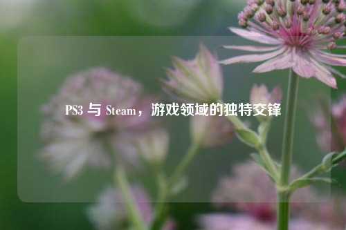 PS3 与 Steam，游戏领域的独特交锋