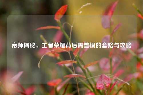 帝师揭秘，王者荣耀背后需警惕的套路与攻略