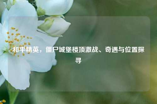 和平精英，僵尸城堡楼顶激战、奇遇与位置探寻