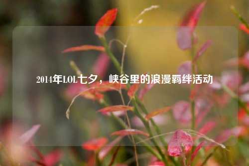2014年LOL七夕，峡谷里的浪漫羁绊活动