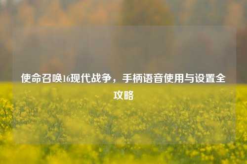 使命召唤16现代战争，手柄语音使用与设置全攻略