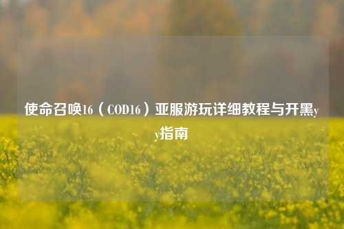 使命召唤16（COD16）亚服游玩详细教程与开黑yy指南