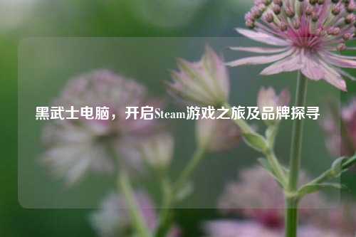 黑武士电脑，开启Steam游戏之旅及品牌探寻