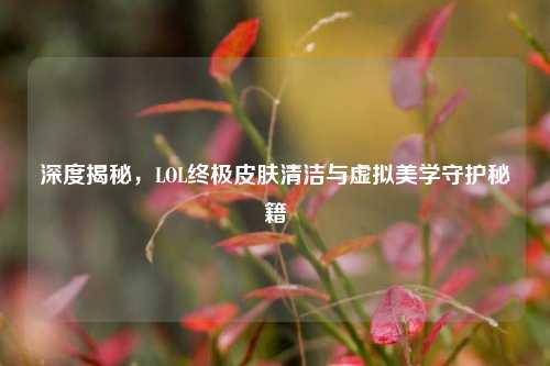 深度揭秘，LOL终极皮肤清洁与虚拟美学守护秘籍