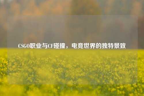 CSGO职业与CF碰撞，电竞世界的独特景致