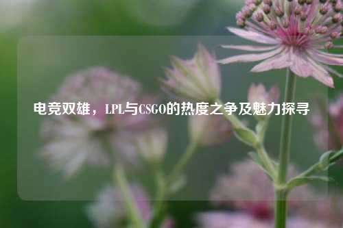 电竞双雄，LPL与CSGO的热度之争及魅力探寻