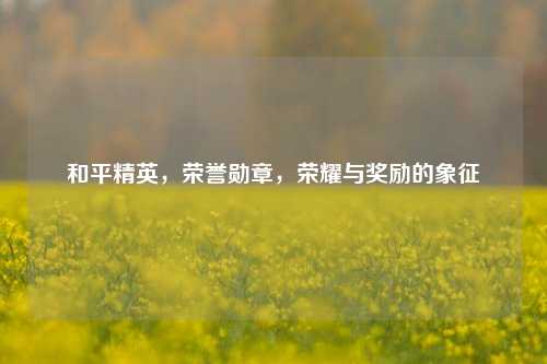 和平精英，荣誉勋章，荣耀与奖励的象征