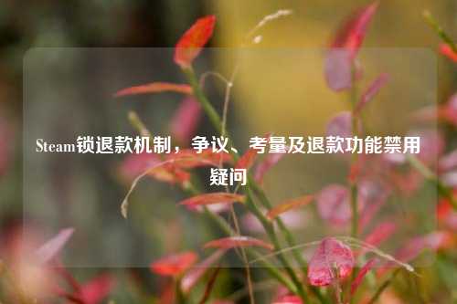 Steam锁退款机制，争议、考量及退款功能禁用疑问
