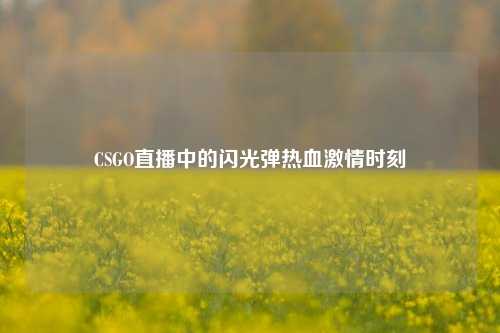CSGO直播中的闪光弹热血激情时刻