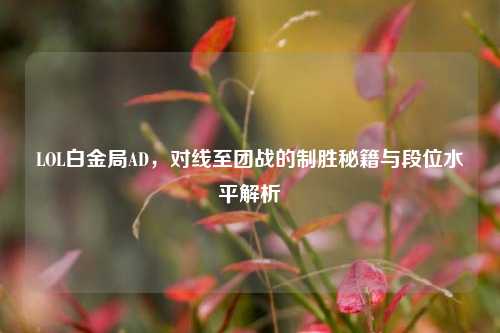 LOL白金局AD,对线至团战的制胜秘籍与段位水平解析