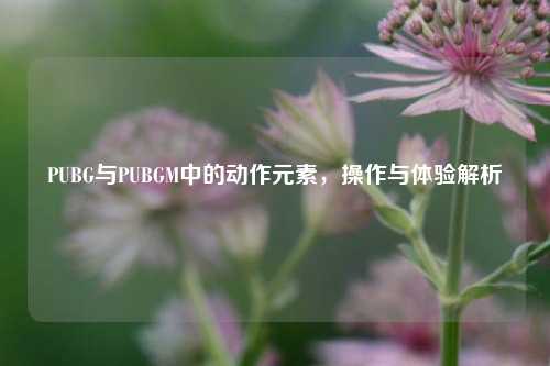 PUBG与PUBGM中的动作元素，操作与体验解析