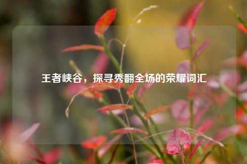 王者峡谷，探寻秀翻全场的荣耀词汇
