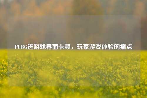 PUBG进游戏界面卡顿，玩家游戏体验的痛点