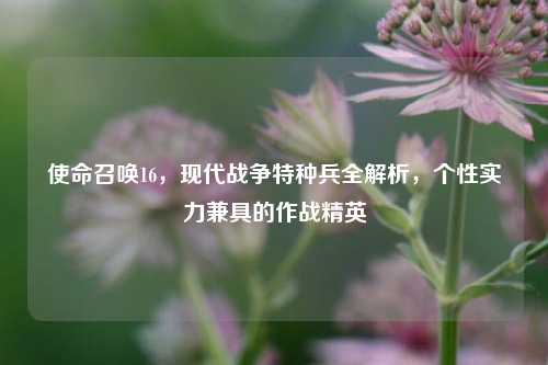 使命召唤16，现代战争特种兵全解析，个性实力兼具的作战精英