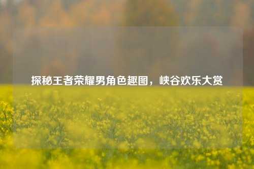 探秘王者荣耀男角色趣图，峡谷欢乐大赏