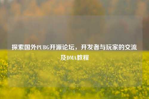 探索国外PUBG开源论坛，开发者与玩家的交流及DMA教程
