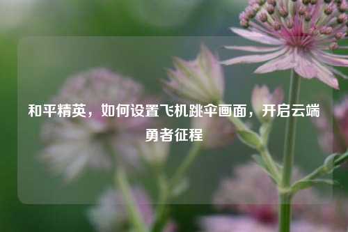 和平精英，如何设置飞机跳伞画面，开启云端勇者征程