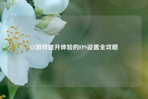 CF游戏提升体验的FPS设置全攻略