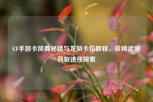 CF手游卡凤舞秘籍与龙凤卡位教程，珍稀武器获取途径探索