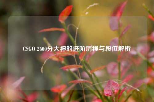 CSGO 2600分大神的进阶历程与段位解析
