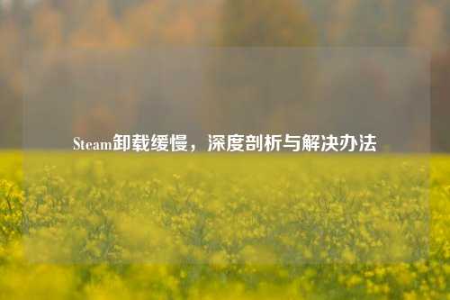 Steam卸载缓慢，深度剖析与解决办法
