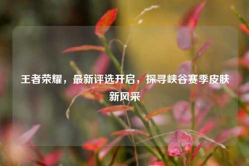 王者荣耀，最新评选开启，探寻峡谷赛季皮肤新风采