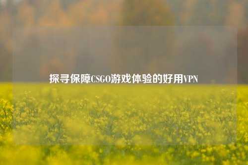 探寻保障CSGO游戏体验的好用VPN