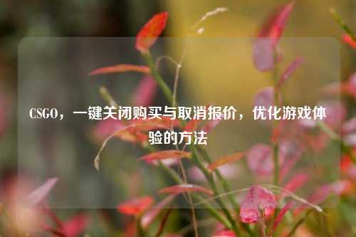 CSGO，一键关闭购买与取消报价，优化游戏体验的方法