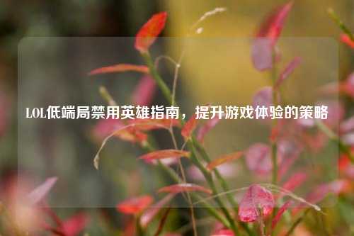 LOL低端局禁用英雄指南，提升游戏体验的策略