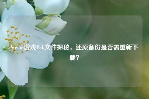Steam游戏Pak文件探秘，还原备份是否需重新下载？